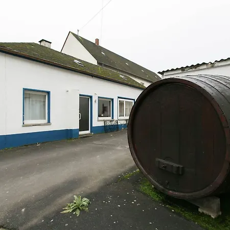 Weingut Sailler-cipolla Holiday home