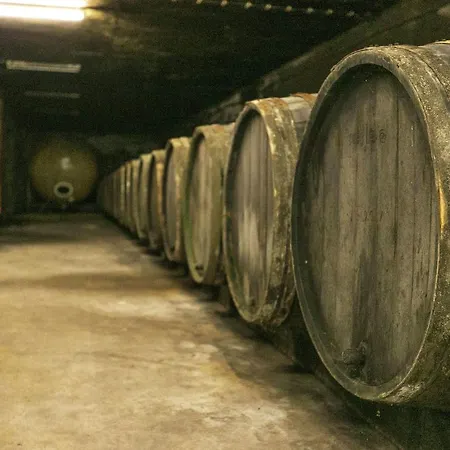 Weingut Sailler-cipolla