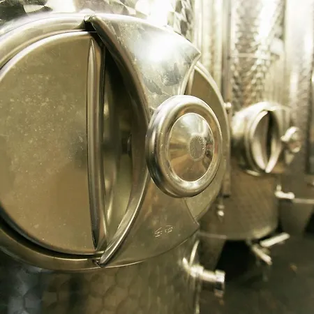 Holiday home Weingut Sailler-cipolla Osann-Monzel