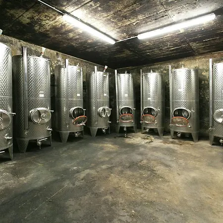 Weingut Sailler-cipolla * Osann-Monzel