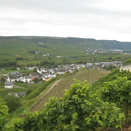 Weingut Sailler-cipolla *