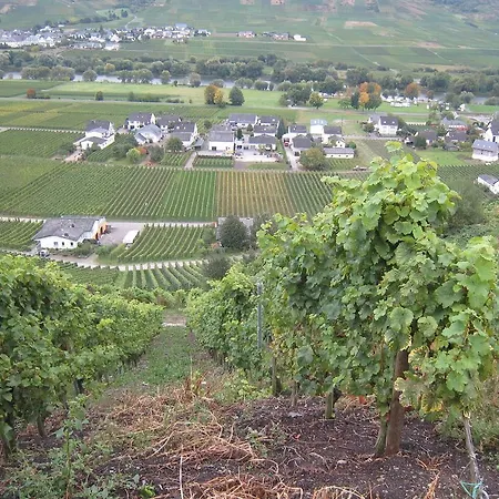 Holiday home Weingut Sailler-cipolla Osann-Monzel