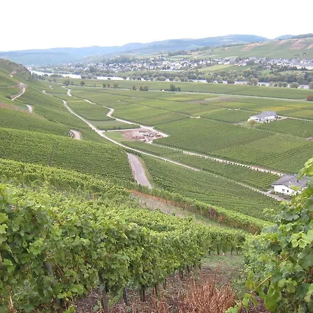 Weingut Sailler-cipolla * Osann-Monzel